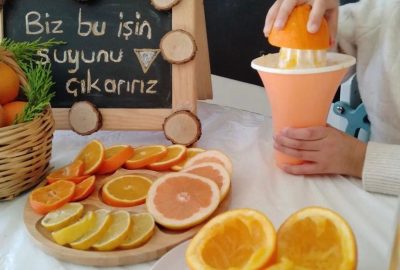 hayvan_bitki4